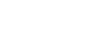 LDM Logo transparente png