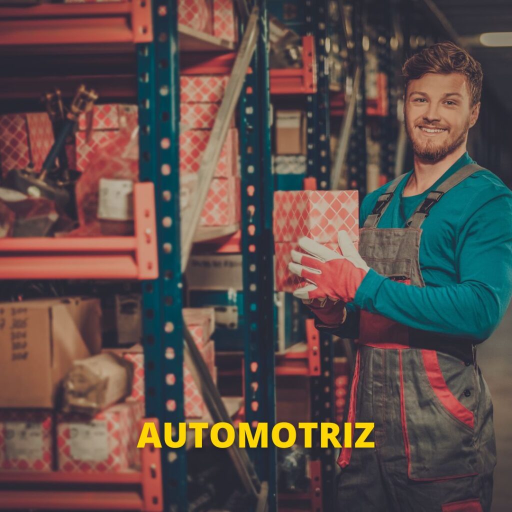 Industria Automotriz Sección