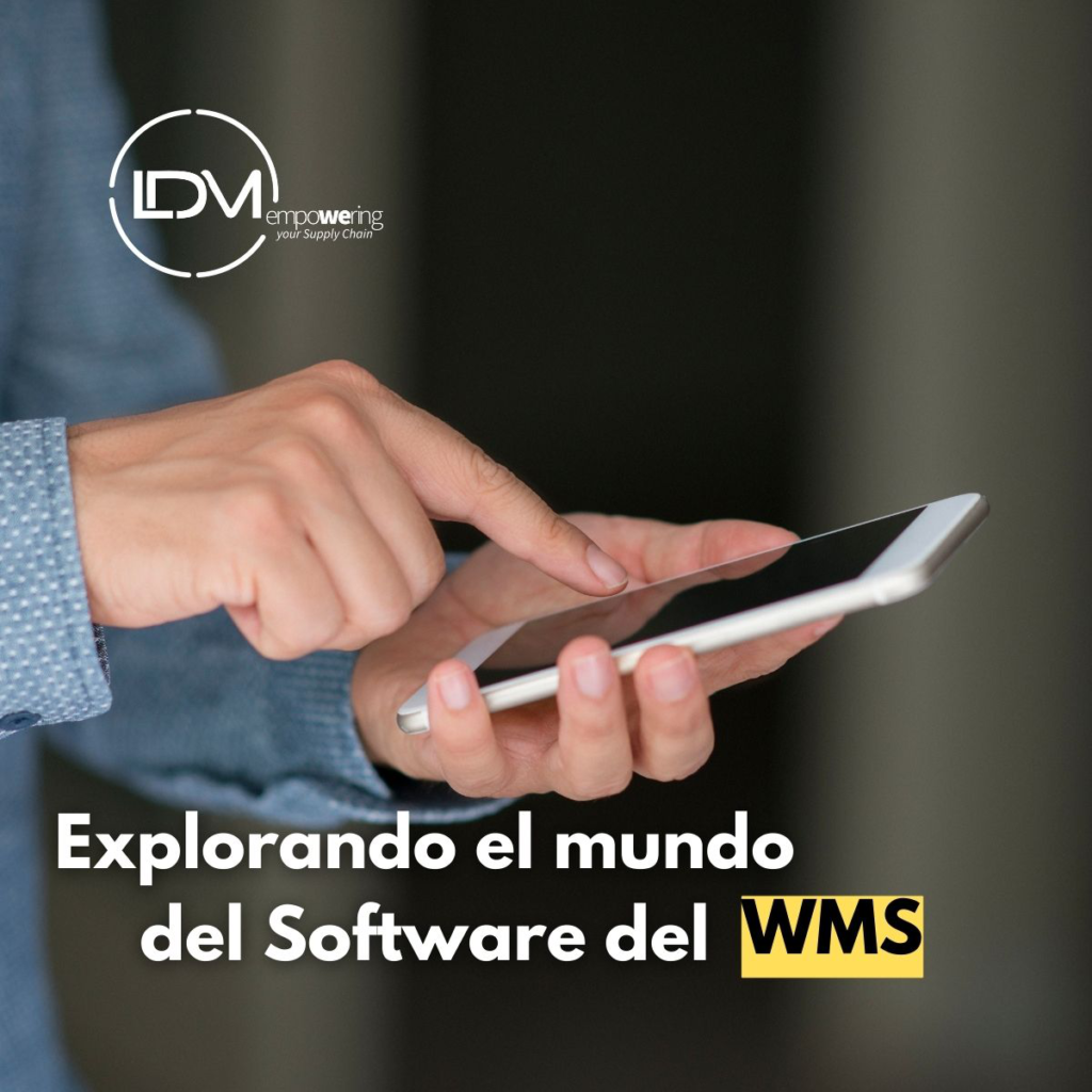 Explorando el Mundo del Software WMS: Una Guía Completa 