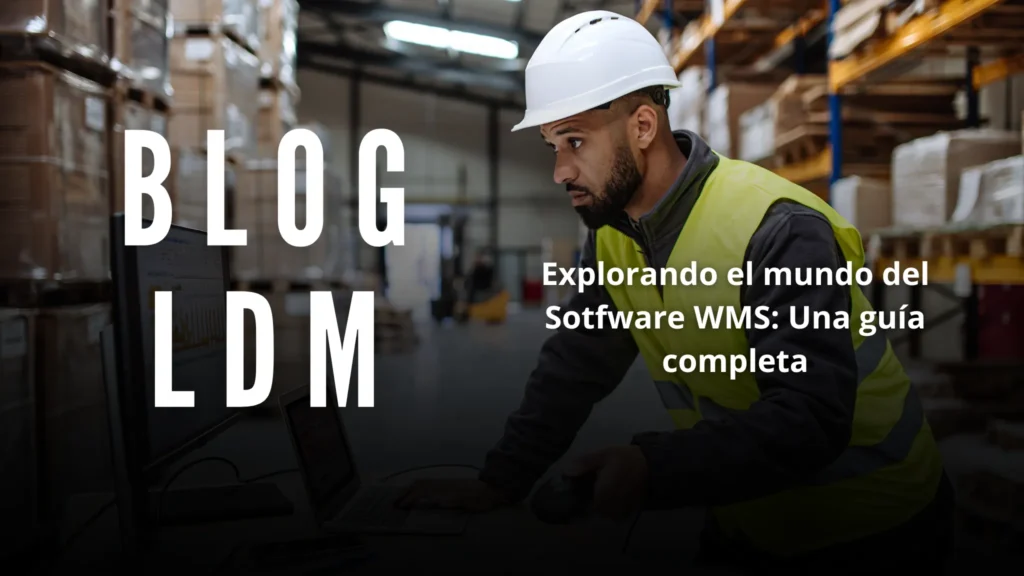 Explorando el Mundo del Software WMS: Una Guía Completa 