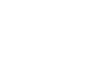 Zebra 3