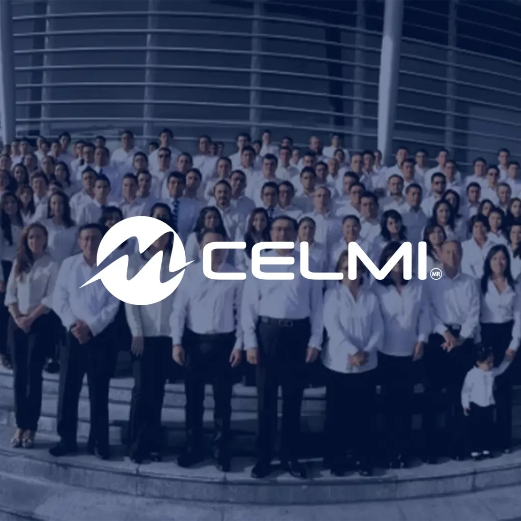 CASO DE EXITO CELMI