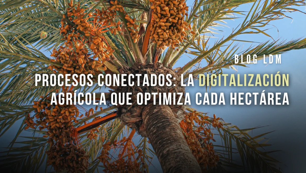 Digitalización